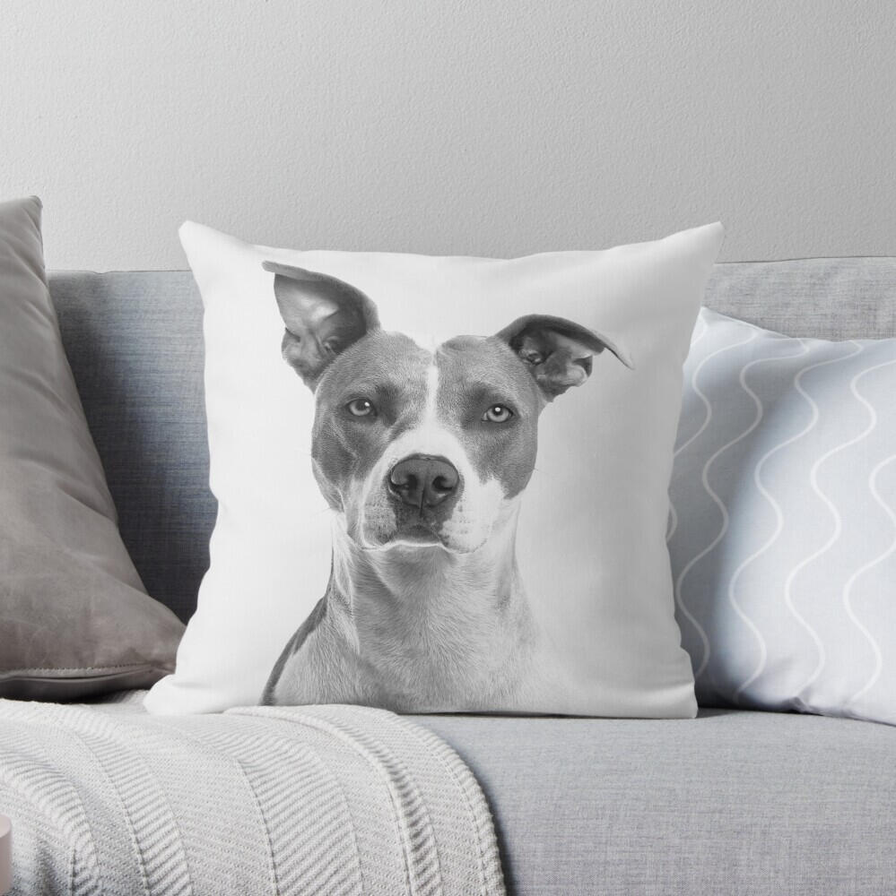 Accent cushions with original art, for that instant zhuzh factor in any room