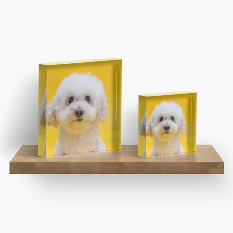 Free-standing clear block adds an eye-catching pop to desks, tables, and shelves